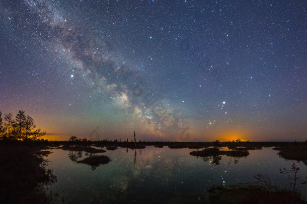 星夜在沼泽