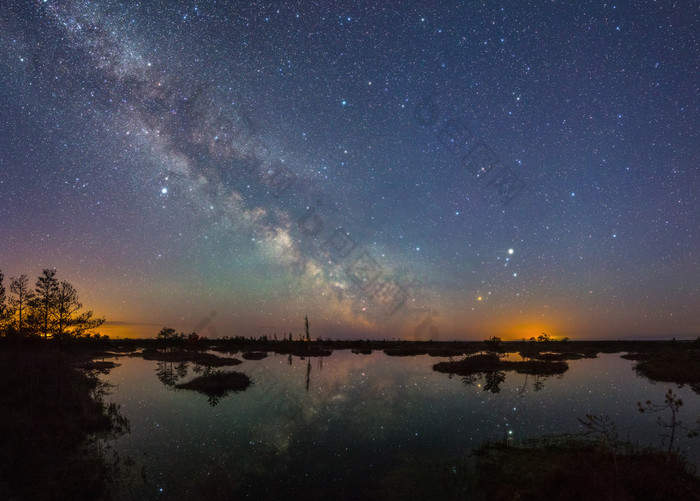 星夜在沼泽