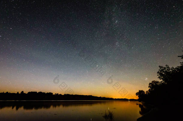 美丽的银河系，夜晚的天空上的树的剪影