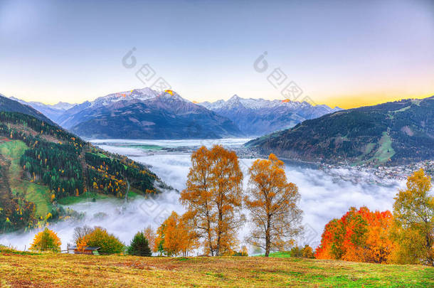 苏州湖滨草甸<strong>树木</strong>与群山壮观的秋景