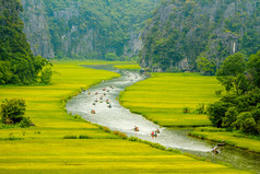 谭耀宗议员 coc 自然保护区，越南稻田内流