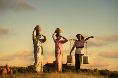 传统的亚洲农民在日落在蒲甘的稻田