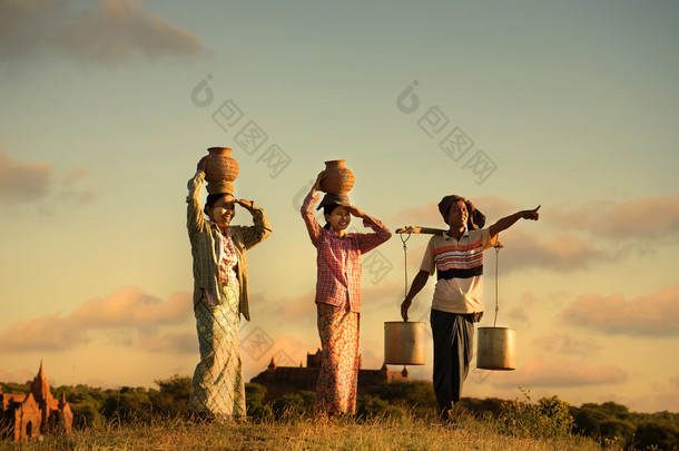 传统的亚洲农民在日落在蒲甘的稻田