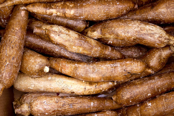木薯丝兰根茎蔬菜食物模式