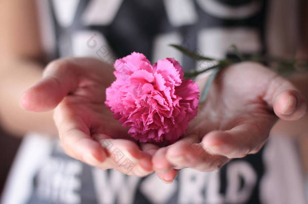 手里拿着一朵粉红色<strong>的康乃馨</strong>花.