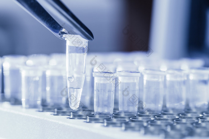 加载为 pcr dna 样本