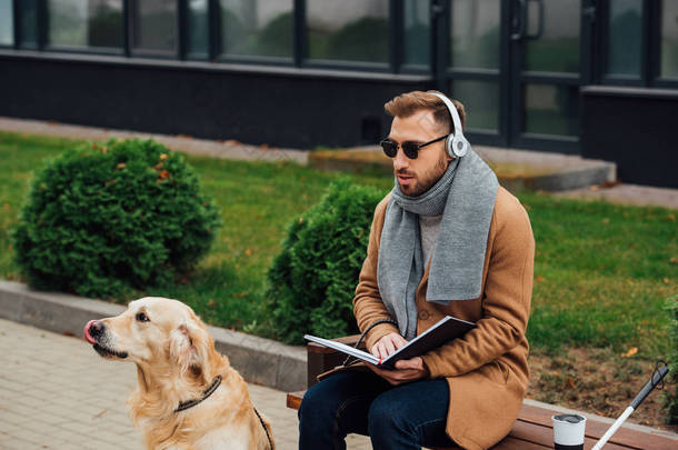 戴<strong>耳机</strong>的盲人在导盲犬旁边的长椅上看书 