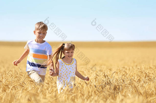 夏日可爱的小孩子们在麦田里奔跑