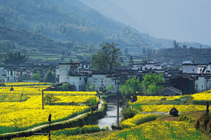 婺源县农村景观