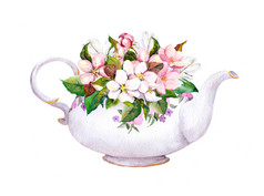 复古茶壶-苹果，樱桃花。水彩