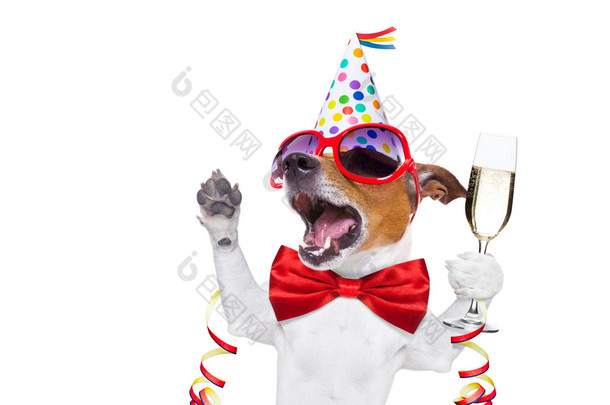 祝你生日快乐的狗