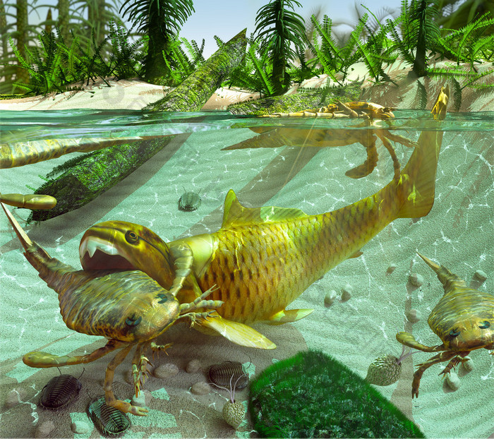 Devonian Lake Cycle Of Life