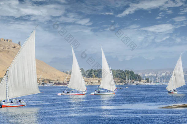 费卢卡在埃及阿斯旺的尼罗河上航行。尼罗河上的帆船.