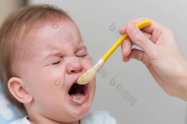 婴儿哭了，不肯<strong>吃</strong>蔬菜泥