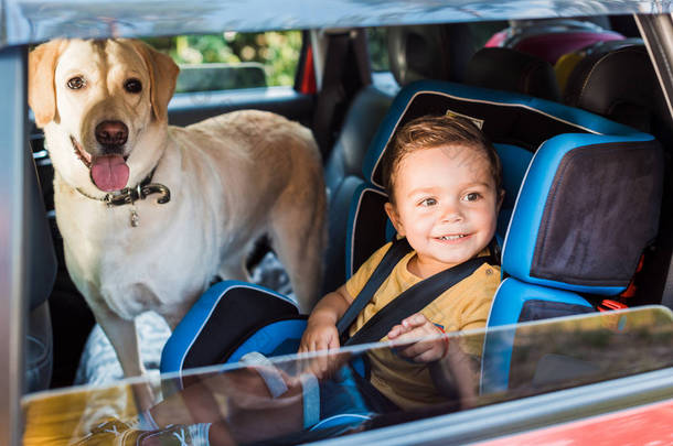 微笑可爱的孩子在安全座椅与拉布拉多狗在后座上