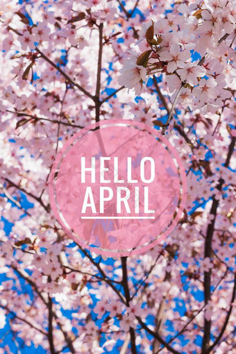 班纳你好四月。嗨, 春天。你好, 四月。欢迎卡我们正在等待新的春天。春天的第二个月.图片