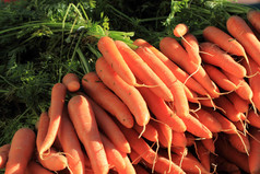 橙色的胡萝卜蔬菜背景