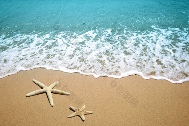 海滩<strong>沙滩</strong>上的海星