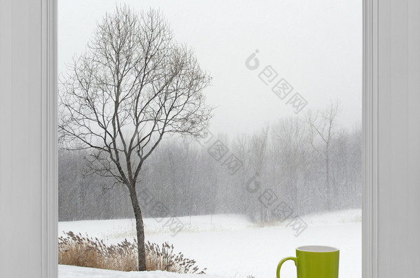 通过窗口和绿杯看到冬天风景