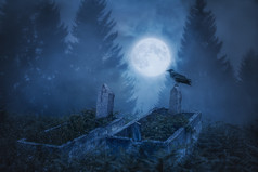 只乌鸦坐在一块墓碑在月光下