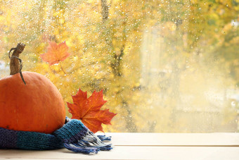 成熟的南瓜裹在一条羊毛围巾旁边的窗口与秋季景观/节日礼服为一个快乐的万圣节图片