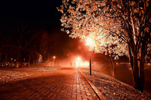 夜晚在公园的风景中，抽象地看到了小巷、树木和灯光在秋天模糊的背景