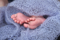 新生儿软脚小手指编织紫丁香背景
