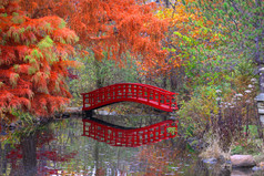 春秋时期的日本花园