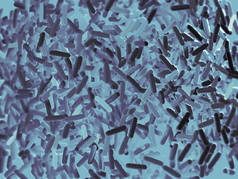 肠道细菌微生物组