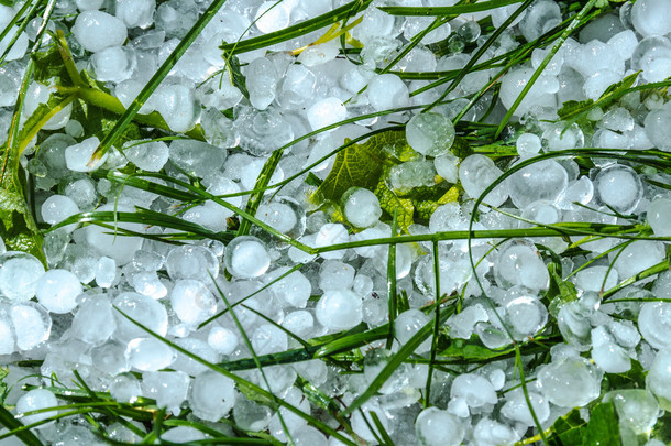  大雨过后,在草地上打冰<strong>球</strong>