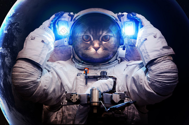 在外层空间只漂亮的猫。这幅图像由美国国家<strong>航空</strong>航天局提供的元素.