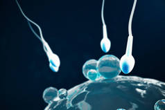 精子和卵细胞卵子本土和自然施肥-特写视图。构想新生活的开始。医学概念3d 插图