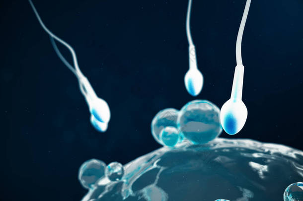 <strong>精子</strong>和卵细胞卵子本土和自然施肥-特写视图。构想新生活的开始。医学概念3d 插图