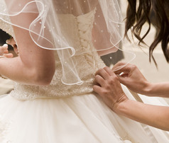 详细的固定新娘的婚纱礼服伴娘