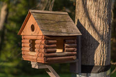 鸟饲养者以木房子的形式