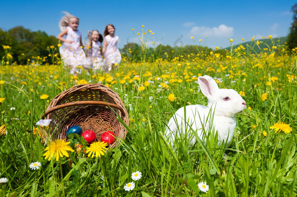 上一个美丽的复活节兔子