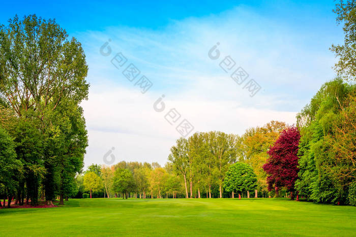 绿色的田野。美丽的风景。草地和森林 窗边风景