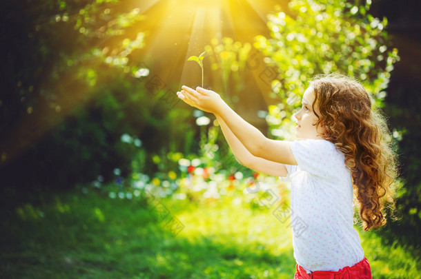 可爱的小女孩抱着年轻绿色的植物在阳光下.