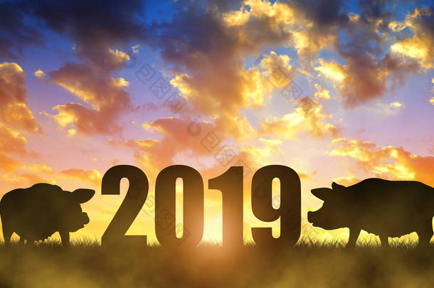 中国新年2019概念。日落时两只猪的剪影.