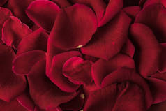 红玫瑰花瓣纹理的闭合视图