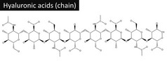 透明质酸分子的结构