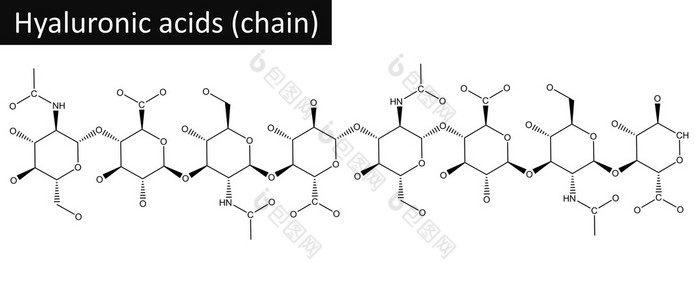 透明质酸分子的结构