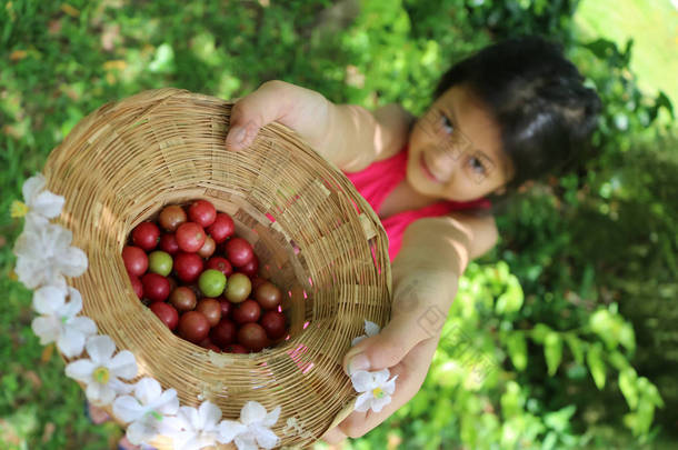 收获了可爱的亚洲女孩在花园里的水果.