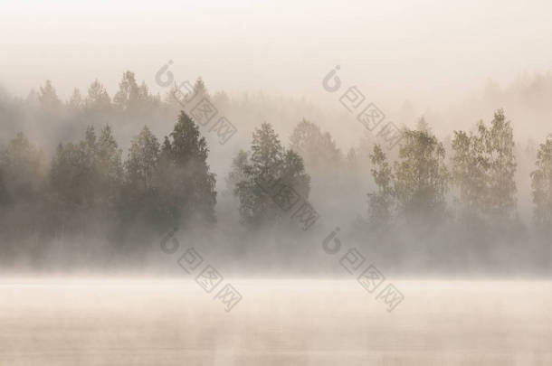 迷雾森林和黎明湖