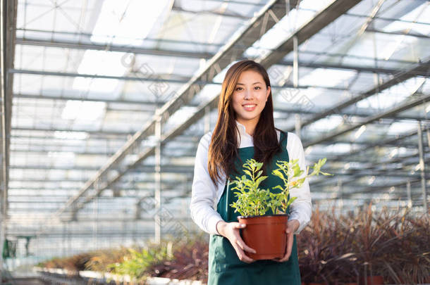 年轻的亚洲女子工程在温室