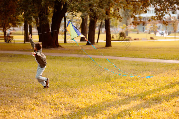男孩在公园里的风筝