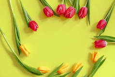彩色郁金香, 可爱的郁金香花组成。情人节或母亲节。3月8日国际妇女日.