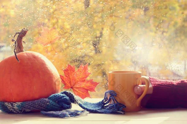 把杯子和南瓜手放在窗户上, 雨后/温暖舒适的金色秋天的气氛