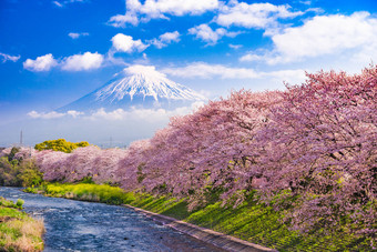 富士山在春天图片