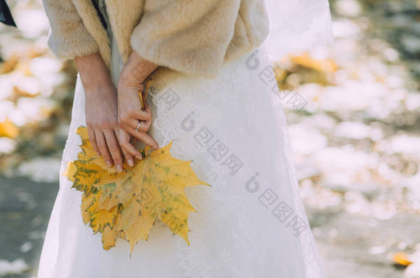 新娘穿着婚纱和天然毛皮大衣, 手捧着黄色落叶的枫树。水平